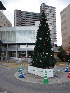 《 バンビオ広場のクリスマス･ツリー（後ろの方にアンサンブルが見えますかな？ 》