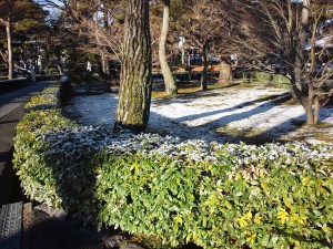 140110相国寺の雪化粧